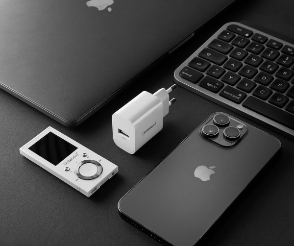 Intenso USB-A Adapter Weiß 7800512
