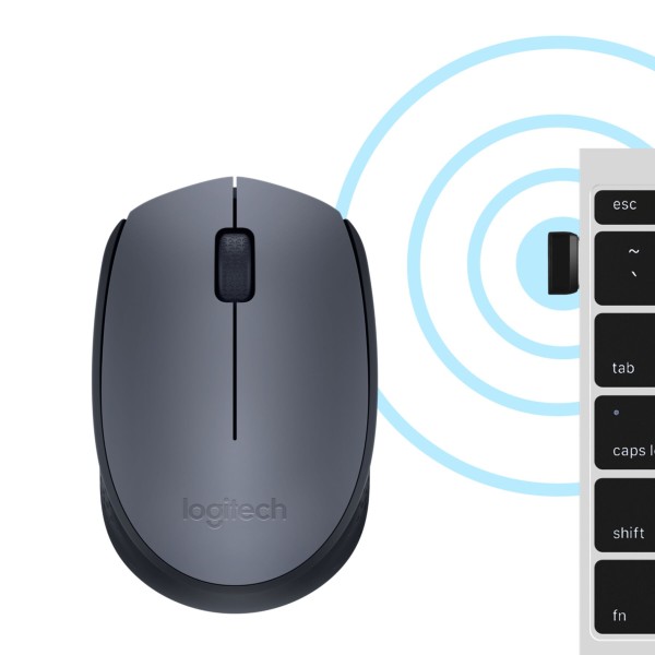 Mouse Logitech M170 Wireless grey (910-004642)