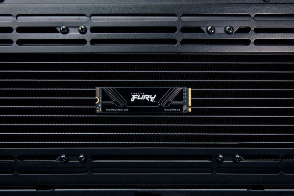 SSD Kingston FURY Renegade G5 1TB Kingston SFYR2S/1T0 M.2 PCIe 5.0 NVMe
