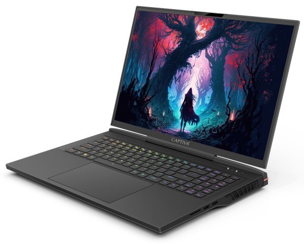 Captiva Notebook Highend Gaming I87-237CH i9-14900HX (17.3", 64GB, 4TB SSD, GeForce RTX4080 12GB, Win 11 Home)