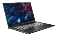 Captiva Notebook Business/Office I10-1406GE (17,3"/i5-1335U/Intel Iris Xe Graphics/SSD 500GB/16GB/WLAN/BT/Win 11 Home/w/o PSU) Captiva Notebook Business/Office I10-1406GE (17,3"/i5-1335U/Intel Iris Xe Graphics/SSD 500GB/16GB/WLAN/BT/Win 11 Home/w/o PSU)