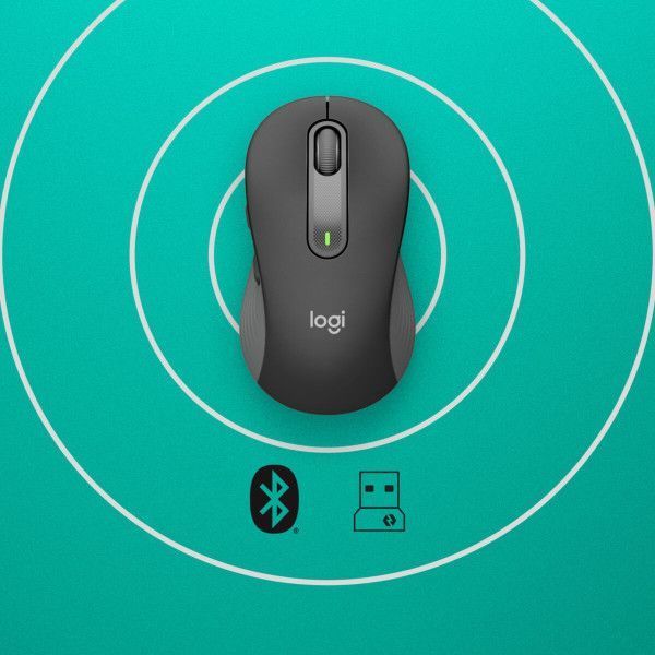 Mouse Logitech Signature M650 L graphite (910-006348)