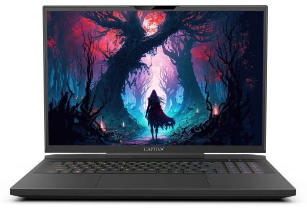 Captiva Notebook Highend Gaming I87-237CH i9-14900HX (17.3", 64GB, 4TB SSD, GeForce RTX4080 12GB, Win 11 Home)
