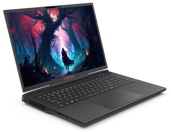 Captiva Notebook Highend Gaming I81-488 i9-14900HX (17.3", 32GB, 2TB SSD, GeForce RTX4070 8GB, Win 11 Home)