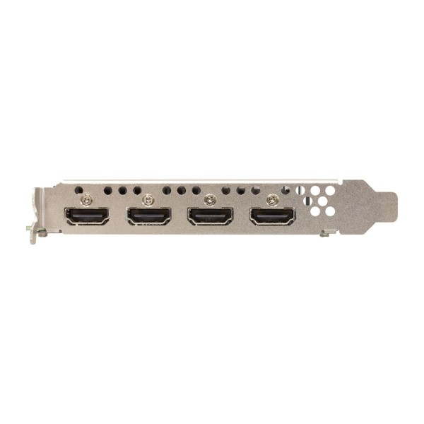 VGA SPARKLE Intel ARC A310 4GB Omni View