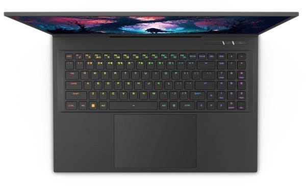 Captiva Notebook Highend Gaming I87-237CH i9-14900HX (17.3", 64GB, 4TB SSD, GeForce RTX4080 12GB, Win 11 Home)