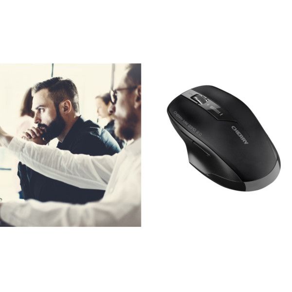 Mouse Cherry MW2310 2.0 schwarz (JW-T0320)