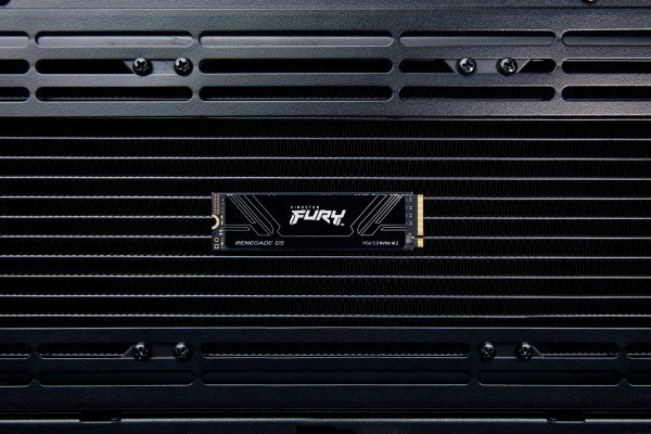 SSD Kingston FURY Renegade G5 2TB Kingston SFYR2S/2T0 M.2 PCIe 5.0 NVMe