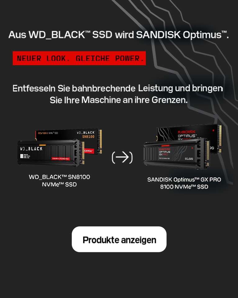 Sandisk SSDs