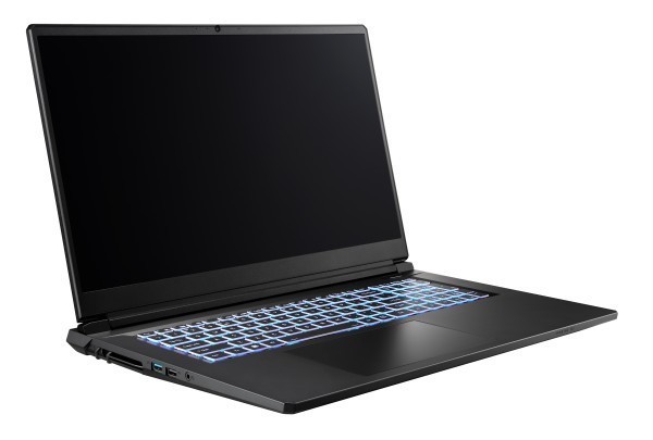 Captiva Notebook Highend Gaming I10-1151GE (17.3"/i7-13620H/RTX5070 8GB/SSD 2TB/64GB/WLAN/BT/Win 11 Home/w/o PSU)