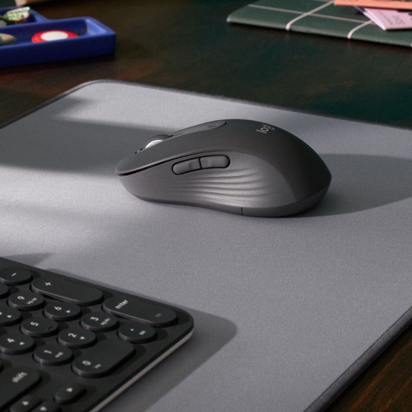 Mouse Logitech Signature M650 L graphite (910-006348)