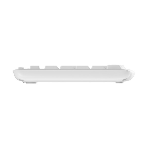 B-Keyboard & Mouse Logitech Wireless Combo MK295 white (DE) (920-009819)
