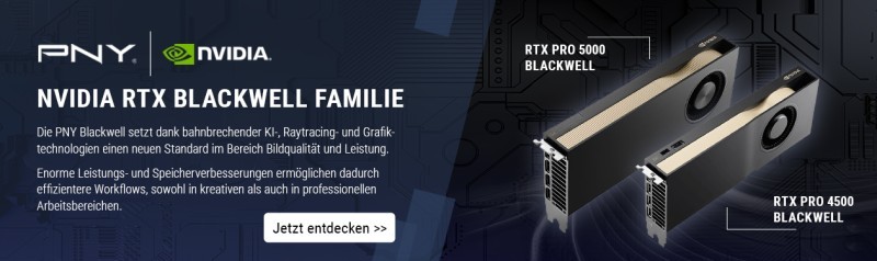 PNY RTX Blackwell