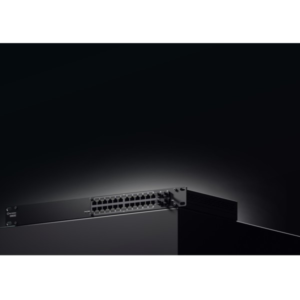 Teltonika SWM282 24-port Switch 24x10/100/1000