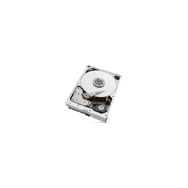 HDD Seagate IronWolf Pro NAS ST10000NT001 10TB/7200 256 MB (D)