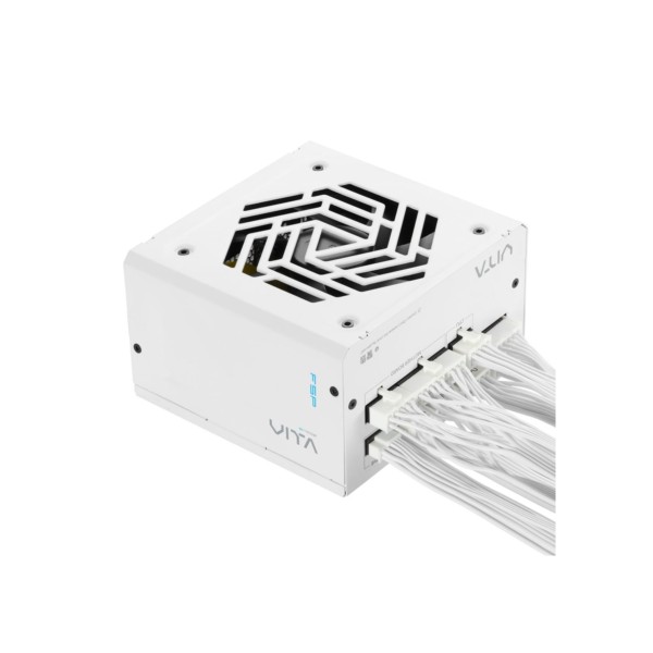 PC- Netzteil  Fortron FSP Vita GM 850 PPA8504214 850W White