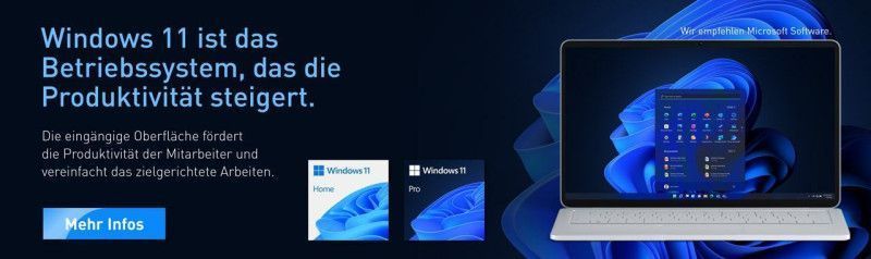 Windows 11