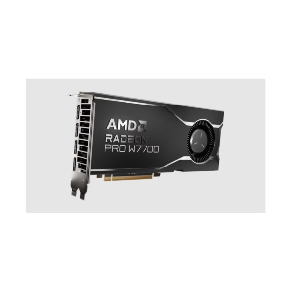 VGA AMD RADEON PRO W7700 16GB (100-300000006)