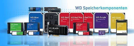 ECOM was named “Partner of the Year 2020” by Western Digital!